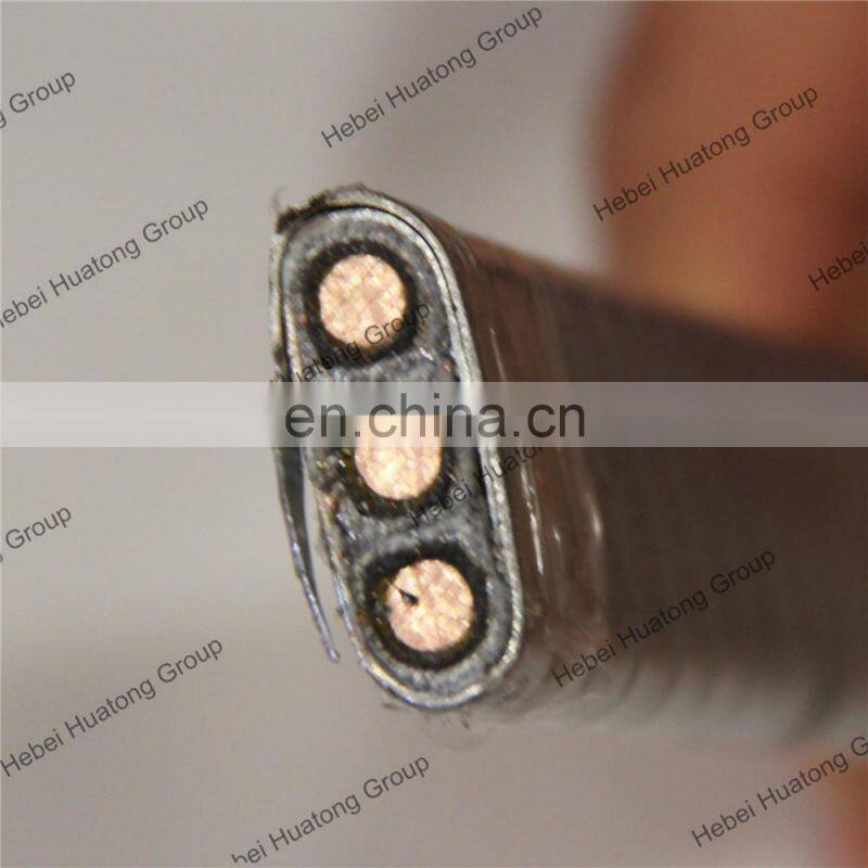 ESP,Polyimide-F46 Composite File and EPR Insulated,EPR Sheathed,Galvanized Steel Tape Interlocked Armoring,Cable 200