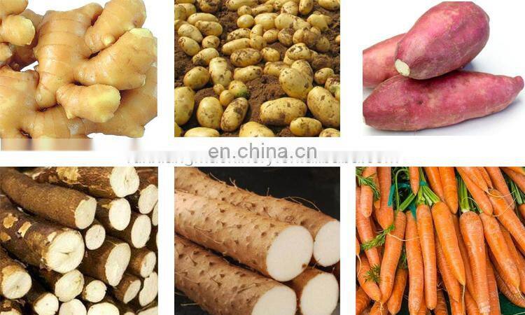 Automatic Vegetable Peeler Cassava Washing and Peeling Machine Carrot Peeler Root Vegetable Food Processing Machine