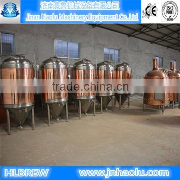 100L mini home beer brewing equipment,micro beer making system