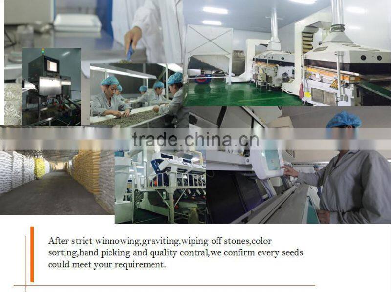 2015 New Crop Shine Skin Pumpkin Seeds price