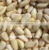 New crop Chinese pine nut kernels
