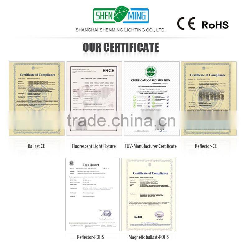 Powerful hydroponic kits 4inch 250mm carbon air filter