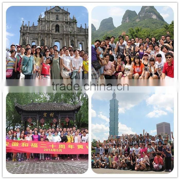 Anti-oxidation carbon electrodes