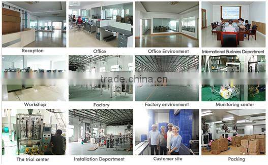 CE Approved Multi-Function Automatic Ice Cream Packaging Machine/ Popsicle Packing Machine/ Lolly Packing Machine