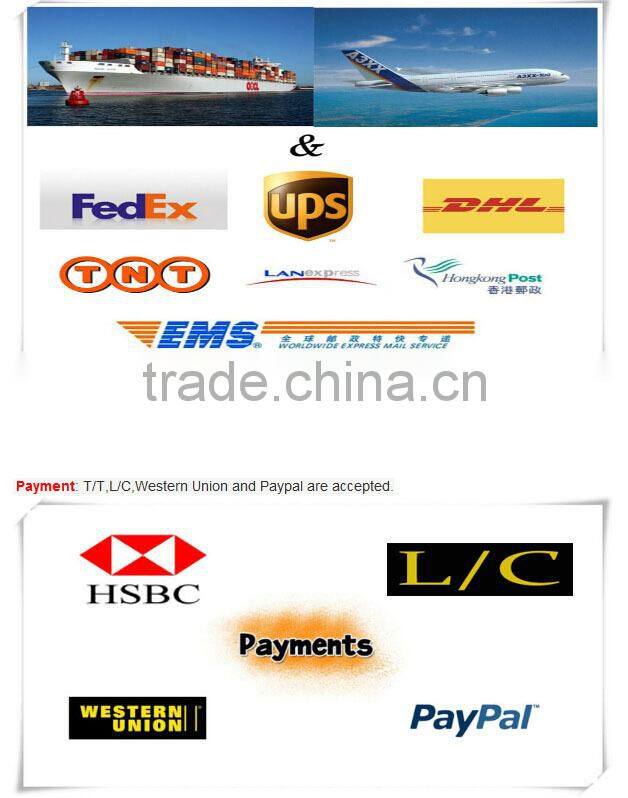 Plastic File Folders with Assorted Color Tabs