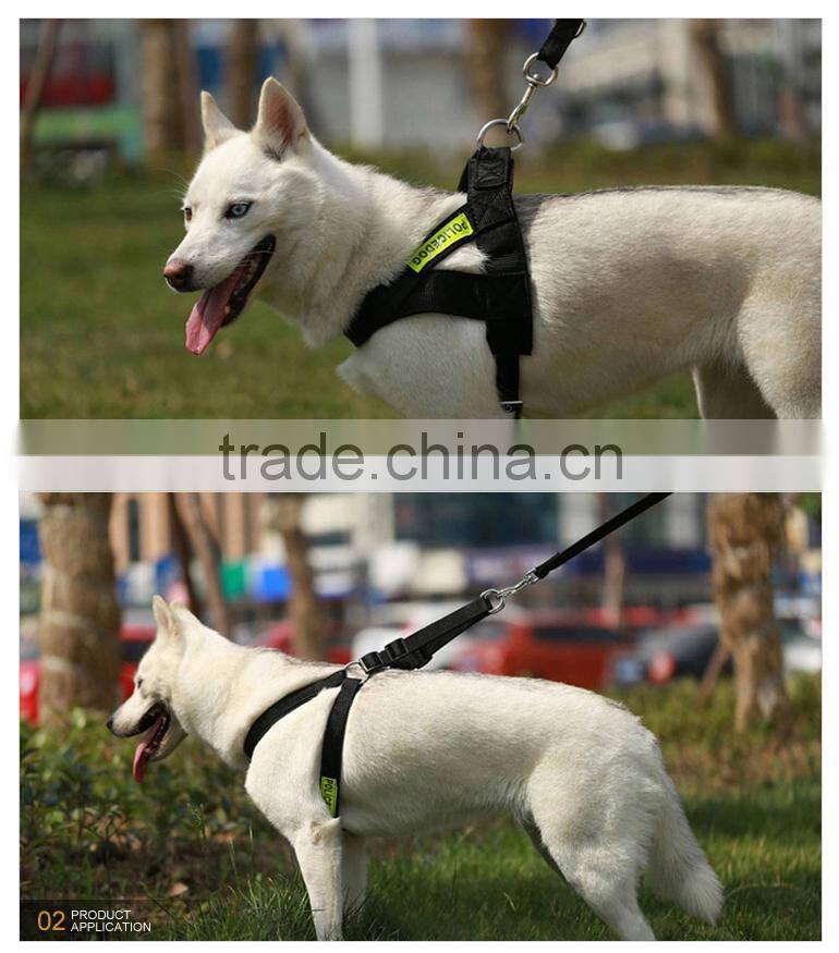 bulk buy from china 2 rope leash