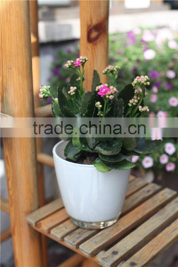 Garden suppliers attractive colorful glass flower pot