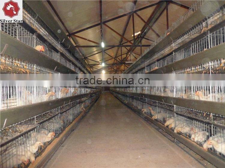High Quality Al-Zn Steel Material Baby Layer Cage For Uzbekistan Chicken Farm