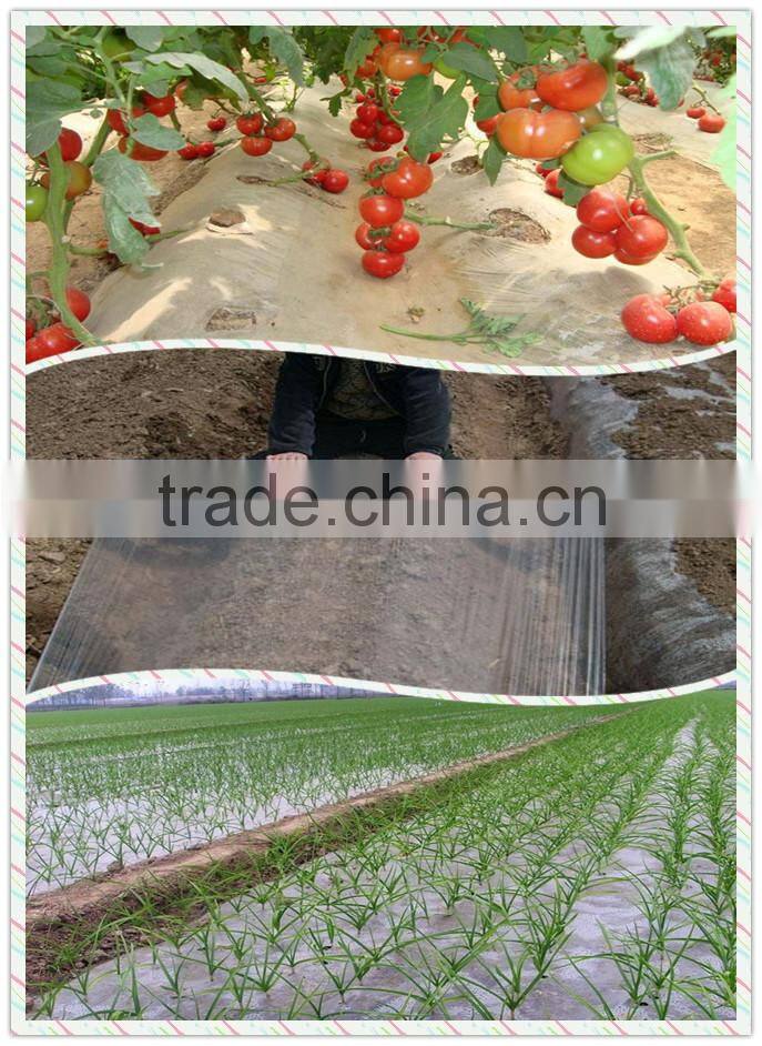 LLDPE Mulch Agricultural Film Blown Machine Price