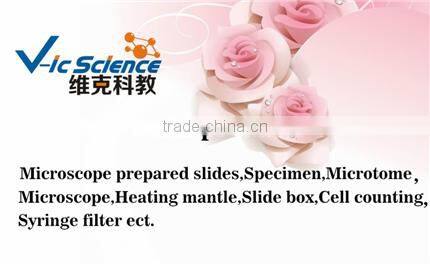 Polytype Blood Counting Chamber with Bright Line