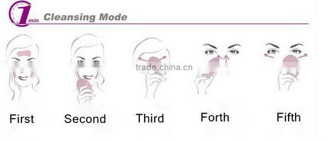 handheld electronic cleansing facial brush