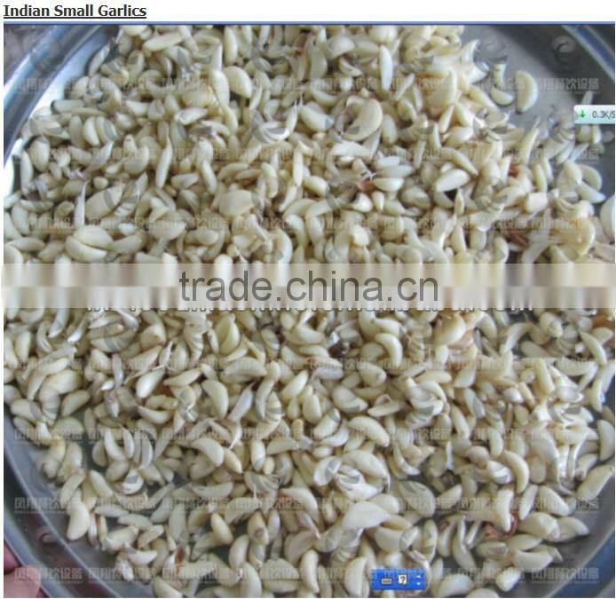 2016 hot sale electrical shallot and garlic peeler machine