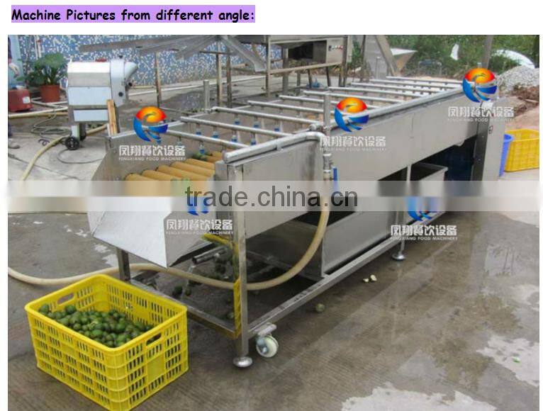 HP-360 powerful new product spray vegetable and fruit washing machine