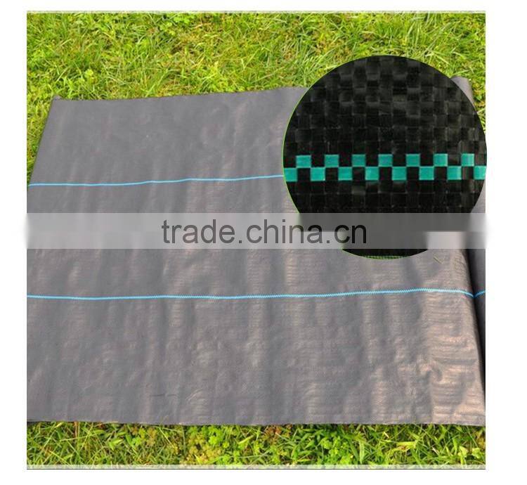 100% PP Material Agricultural Ground Cover From China (Mainland)