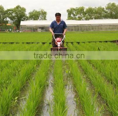 small weeder for paddy field