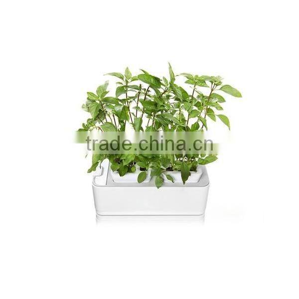 2014 newest office decoration mini smart garden