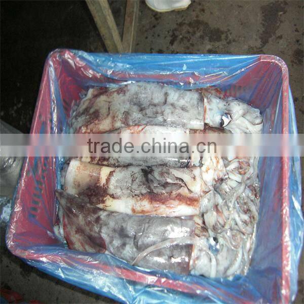 new season iqf wholesale seafood