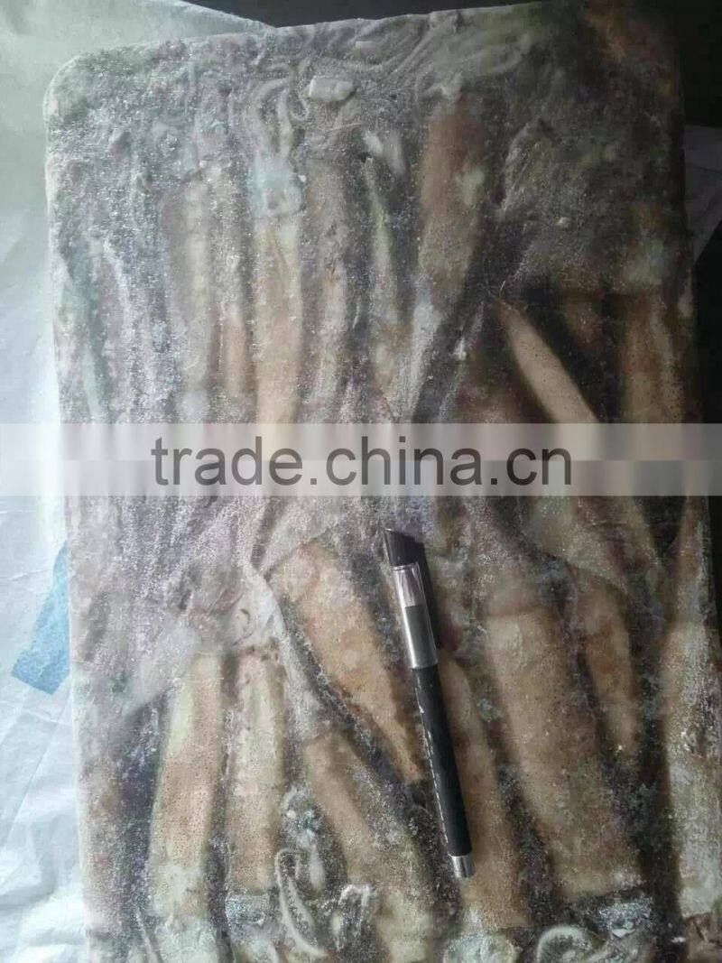 2016 delicious fresh seafood illex squid 200g-300g for market
