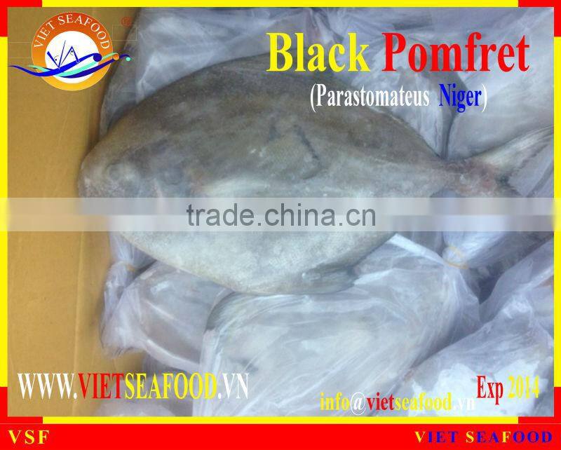 FROZEN BLACK POMFRET WHOLE ROUND