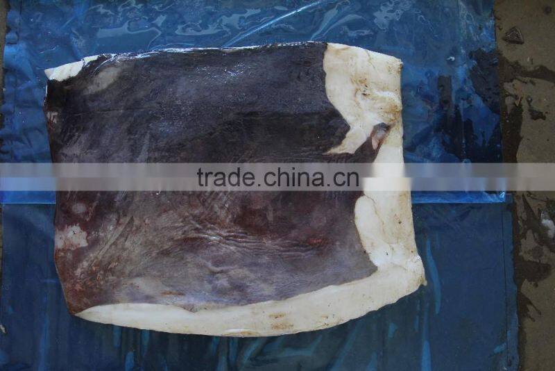 Frozen Seafood Peru Giant Squid Meat/Wing Squid Fillet