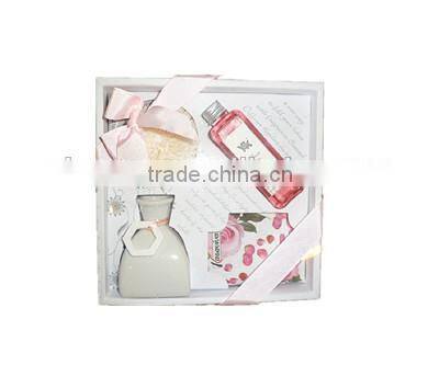 100ml Home fragrance Sola Flower Diffuser with ceramic jar, air fresher gift set SA-0136