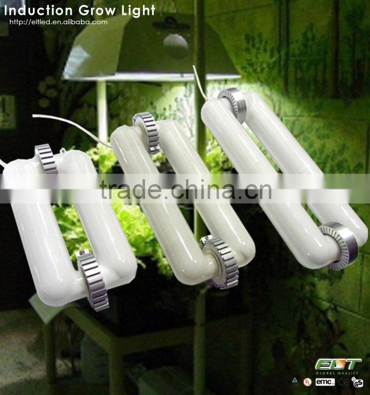 full spectrum induction lamps item type and plasma grow light