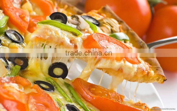 Cheap cake server cake knife plastic