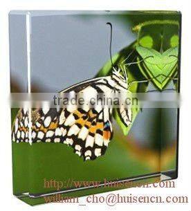 Acrylic logo block for franchise advertisement