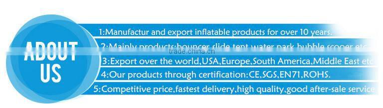 Snow Giant Inflatable Slide For Festival,White Promotional Inflatable Slide,Inflatable Bouncer slide