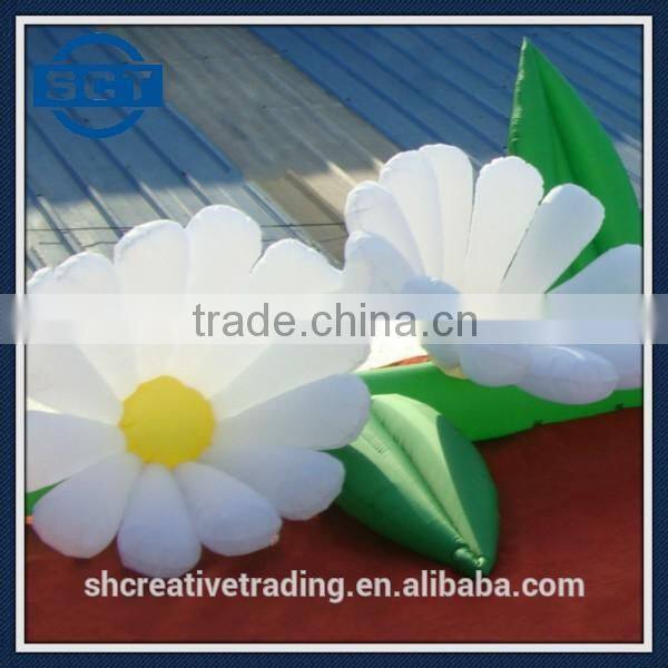 Discount Wedding Decorations