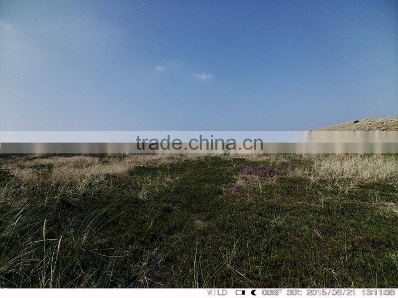 1080P 3g infrared 12MP hunting camera 0.4S 940nm invisible outdoor waterproof hunting camera