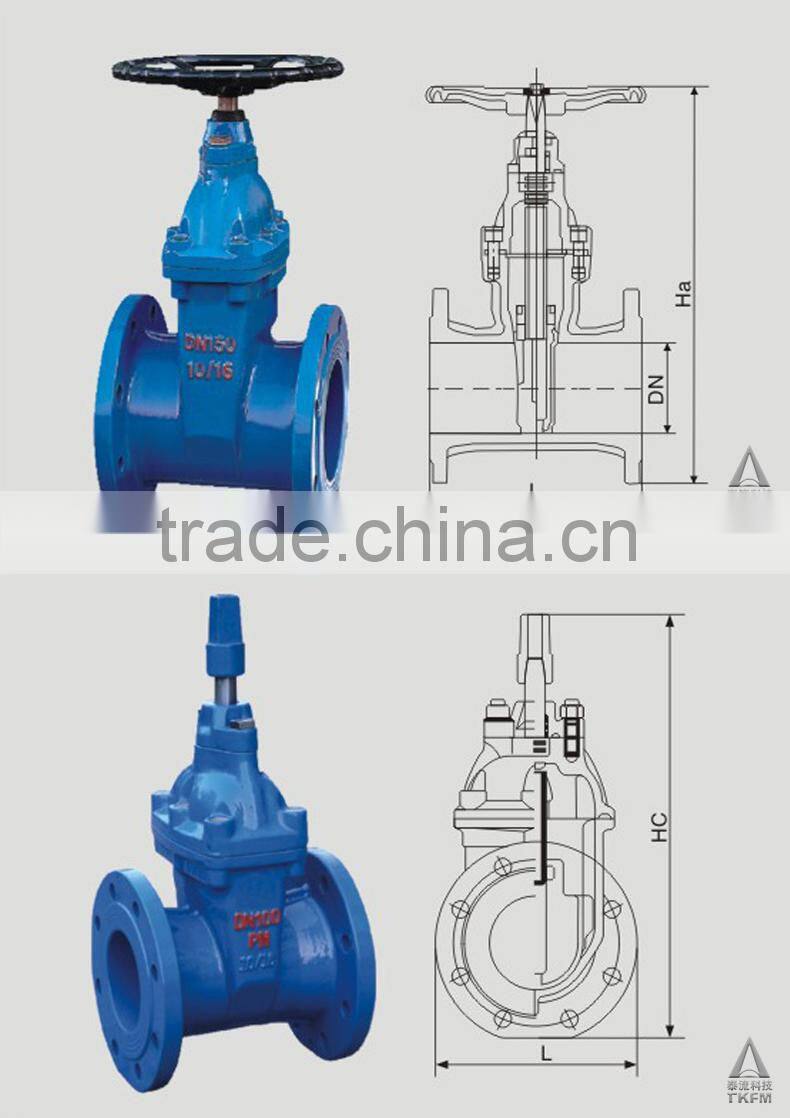 2015 TKFM flange connection wcb 2" inch gate valve picture