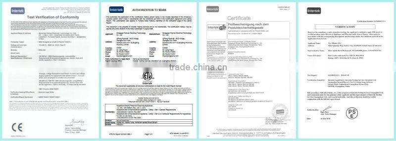 fast gorgeous wet to dry steam flat iron ceramic Straightener