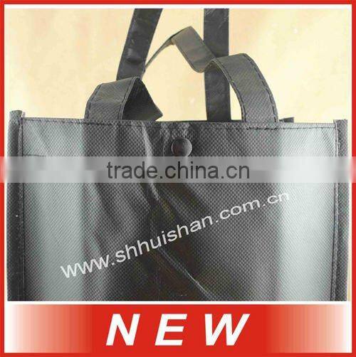 2012 Eco-friendly Non-woven bottles of bag