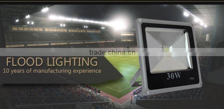 IP65/66 New style flood light 30w led flood light fixture