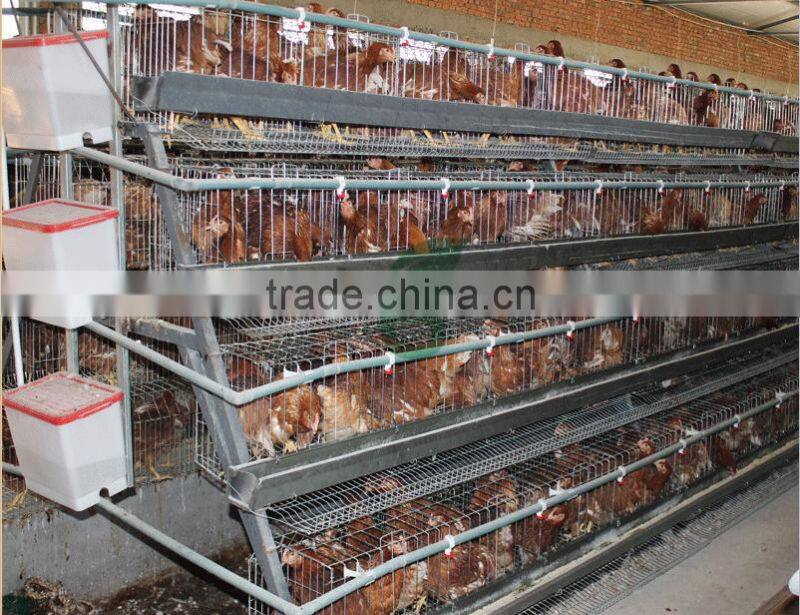 Automatic animal farm equipment poultry drinkers and chicken feeding system