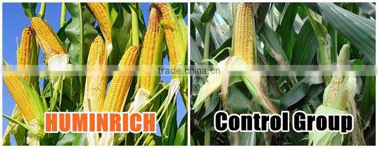 Huminrich Planting Base Best Fertilizer For Plants Chelation