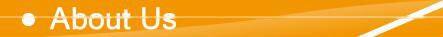 19''*8K high qualily POE fabric for leaf printed transprent umbrella