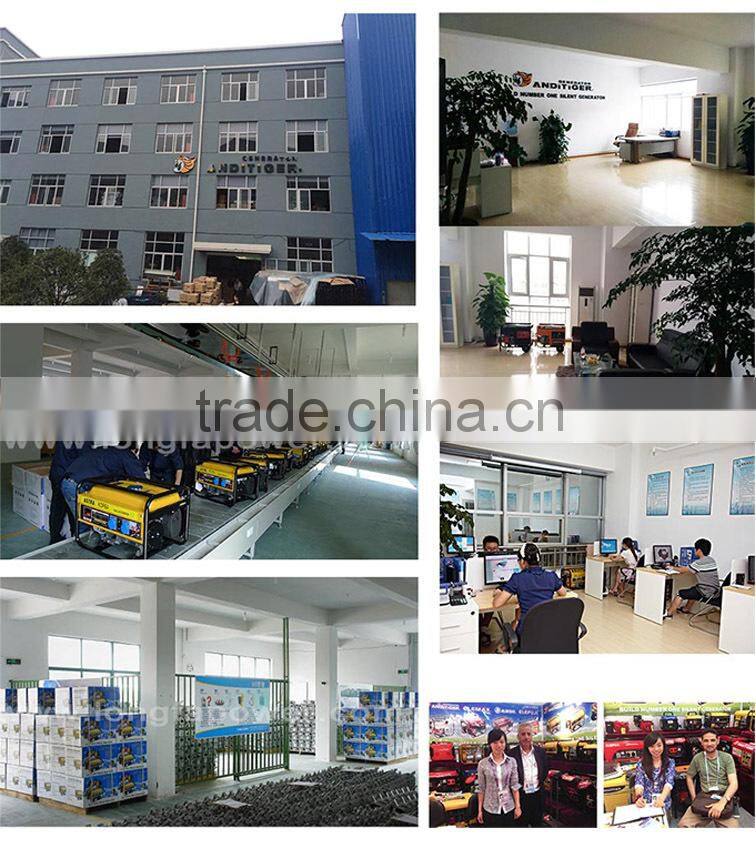 China Supplier (LONFA) 6.5KW Honda Engine Power LPG Gas Generator Price
