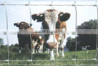 High Quality Animal Electric Fence(Factory,ISO9001:2008)