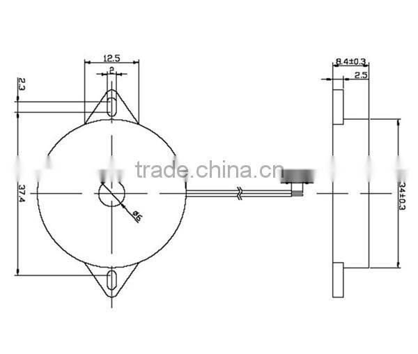 China huasheng excellent car piezo small buzzer