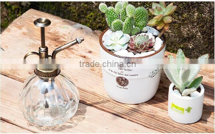 glass spray bottle for home decoration