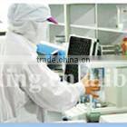 hot saled dried food FD corn powder