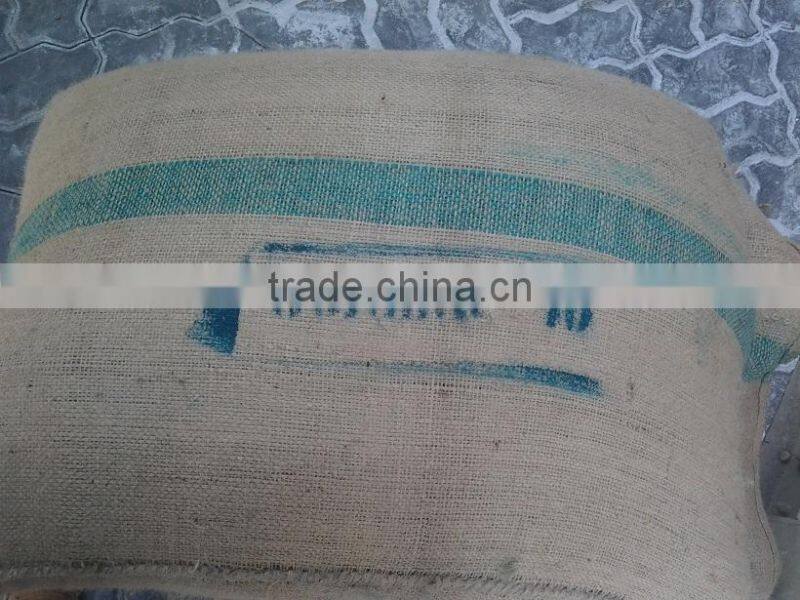 ARABICA GREEN COFFEE BEANS-HIGH QUALITY/ GOOD PRICE