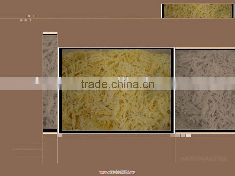 Dried Shredded Squid strips