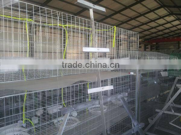 Hot Glvanized Pigeon Cage Innaer 24 years Factory