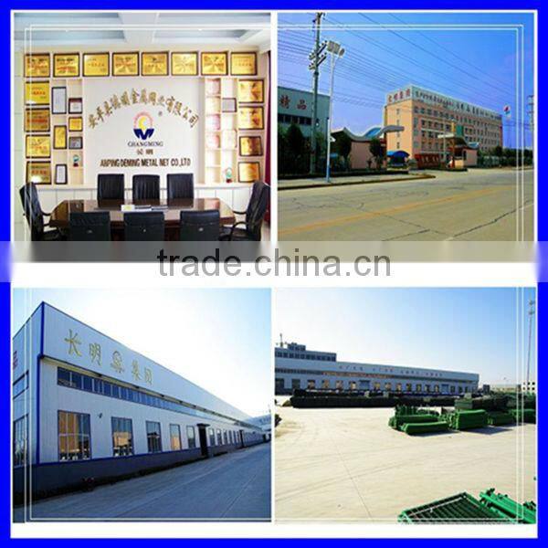 hot-dipped 3m high D pale palisade fence