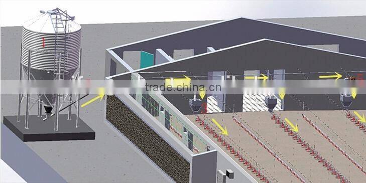 High performance automatic broiler chicken farming equipment