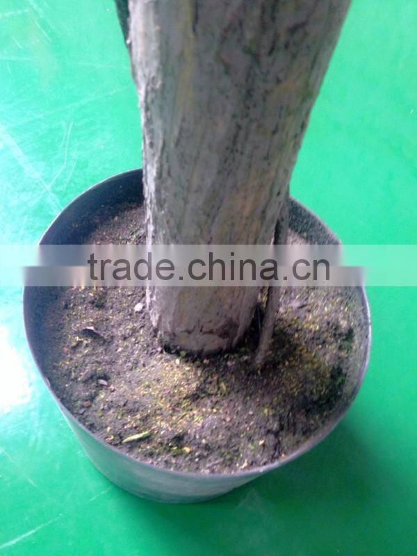 240cm Purple Artificial Wisteria Silk Tree