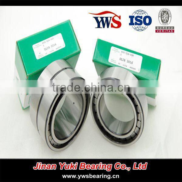 double row Full complement cylindrical roller bearing SL 185013